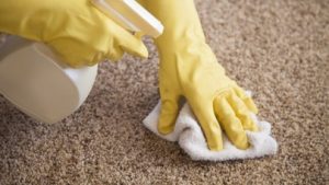 end of lease carpet cleaning dinmore