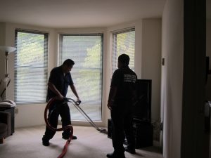 carpet stain removal redbank